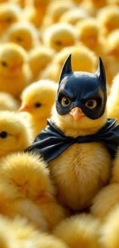 Chick in Batman costume among yellow chicks.