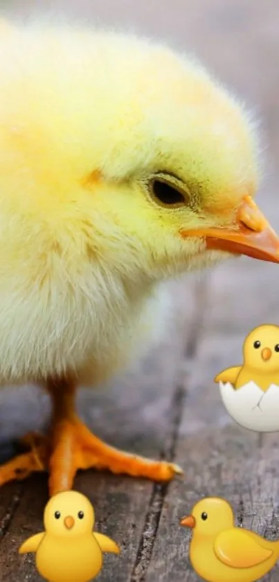 Cute fluffy chick with yellow feathers and cute emojis.