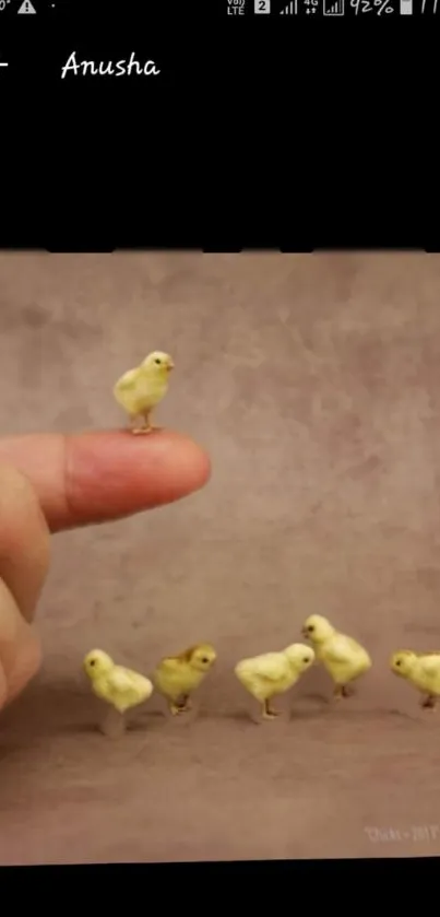 Cute yellow chicks perched on a finger against a beige background.