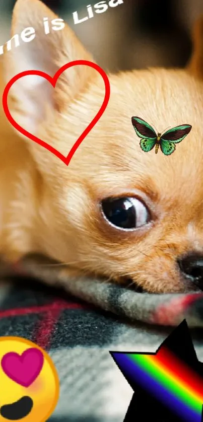 Cute Chihuahua wallpaper with heart and butterfly accents, plus colorful emojis.