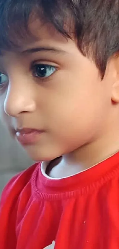 Cute child wearing a red shirt, gazing intently.