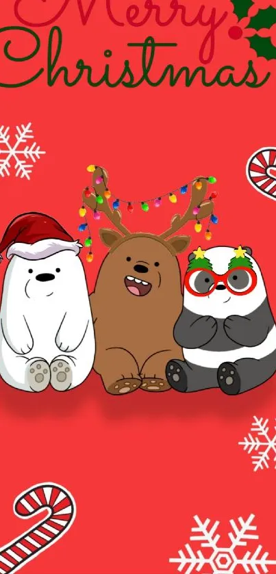 Cute bears in holiday attire on red Christmas background.