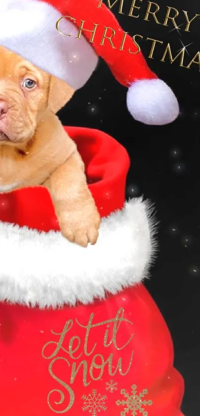 Cute puppy in Santa hat for Christmas wallpaper.