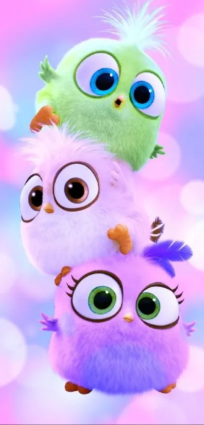 Cute cartoon birds with pink background.