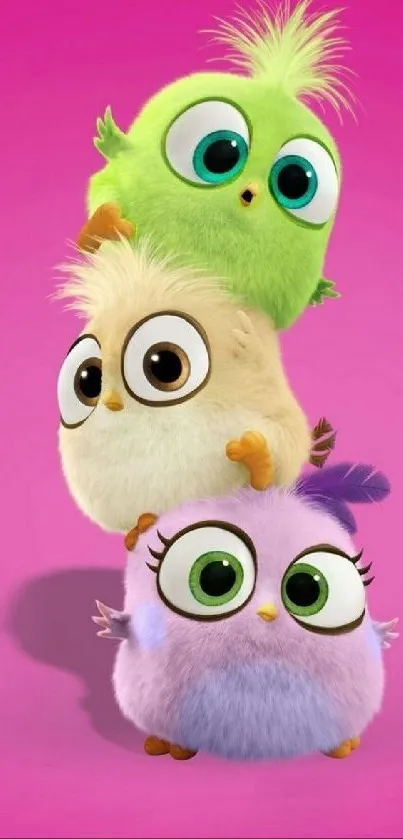 Cute colorful birds on a pink background.