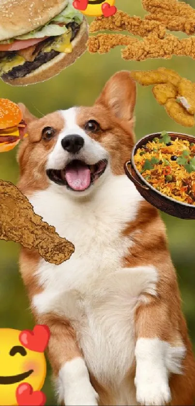 Corgi dog joyfully surrounded by tasty food against green background.