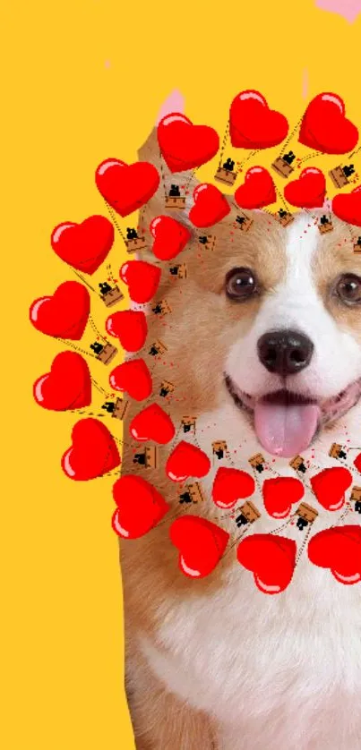 Cute corgi surrounded by red hearts on a yellow background.