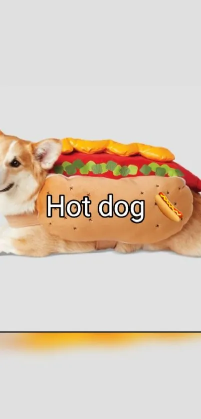 Corgi dressed as a hot dog in a fun costume on a mobile wallpaper.