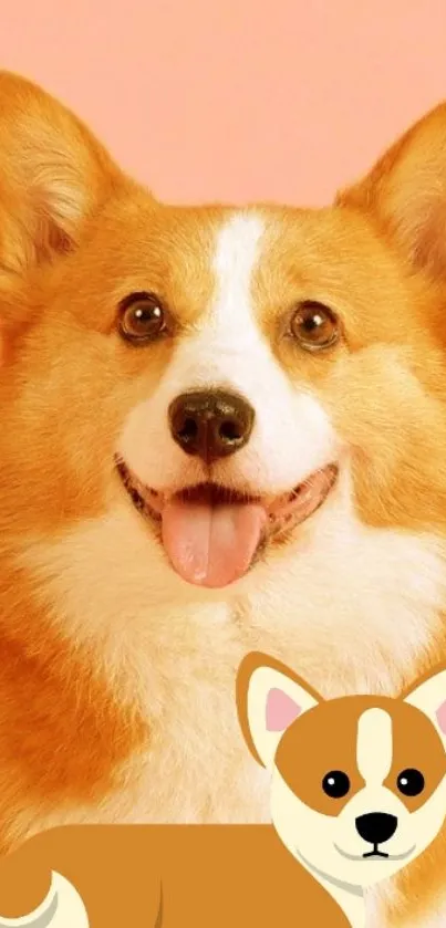 Smiling corgi with cartoon illustration on peach background.