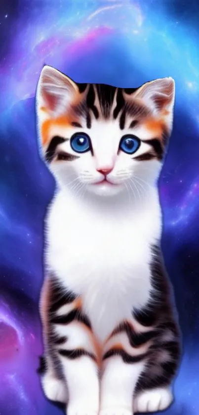 Cute kitten in a cosmic galaxy background with stars.