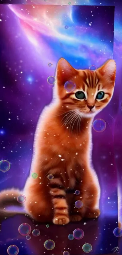 Cute cat in a cosmic galaxy with bubbles.