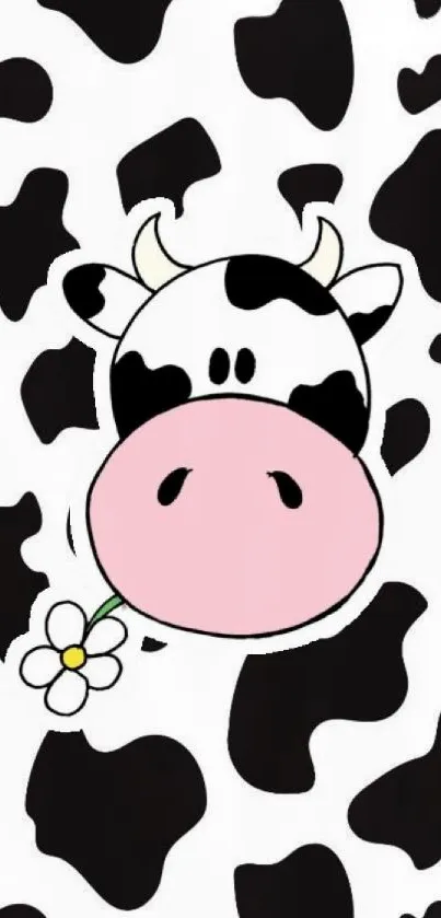 Adorable cartoon cow wallpaper with pink nose and black spots, featuring a daisy.