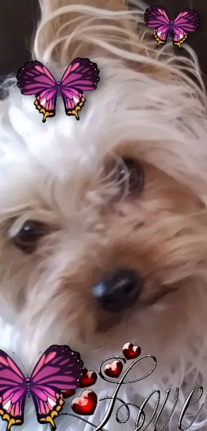 Adorable fluffy dog with butterflies and love accents on a mobile wallpaper.