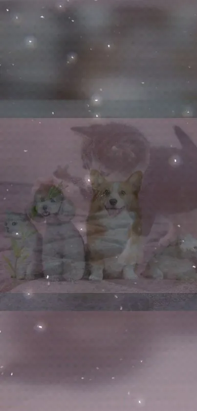 Corgi and kittens under a starry sky on a purple-themed wallpaper.