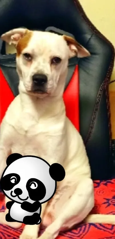Cute dog sitting with cartoon panda on chair wallpaper.