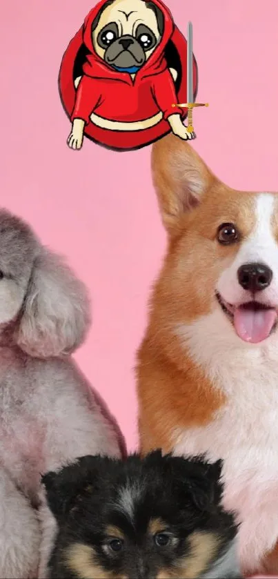 Playful cartoon pug and fluffy dogs on pink background with cute expressions.