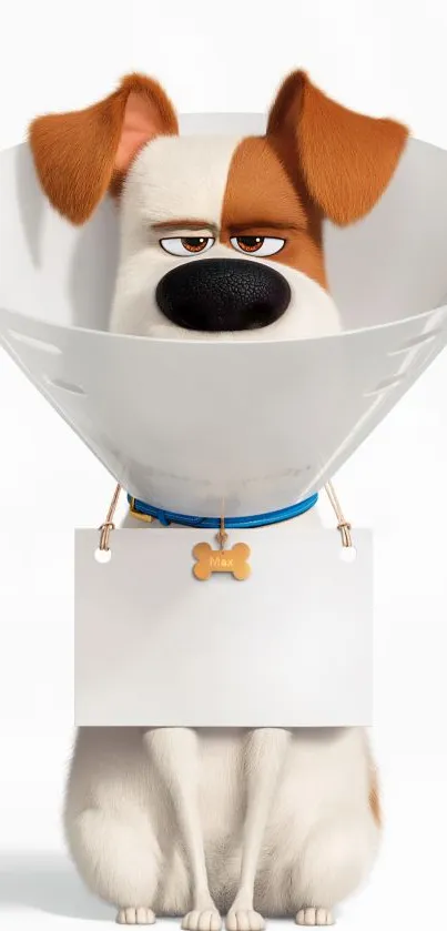 Cartoon dog wearing a cone on a white background.