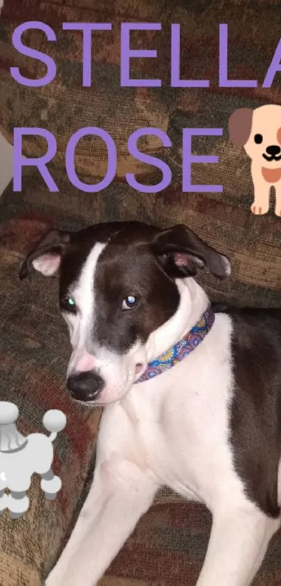 Cute dog lounging on a patterned couch.