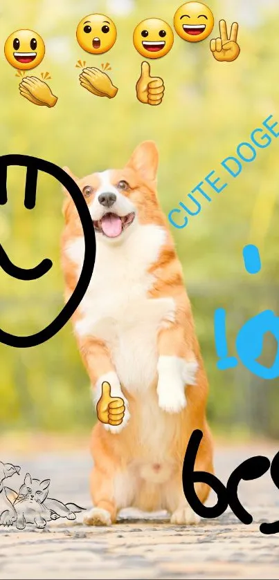 Cute corgi with playful emojis in lively wallpaper.