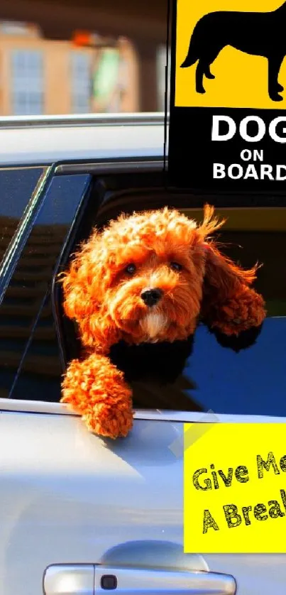 Cute dog peeking from car window with yellow 'Dog on Board' sign.