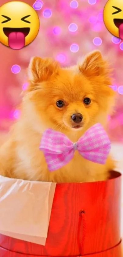 Pomeranian puppy with bow tie in festive setting.