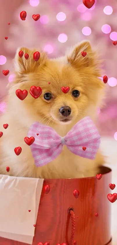 Cute fluffy dog with pink bow surrounded by red hearts.