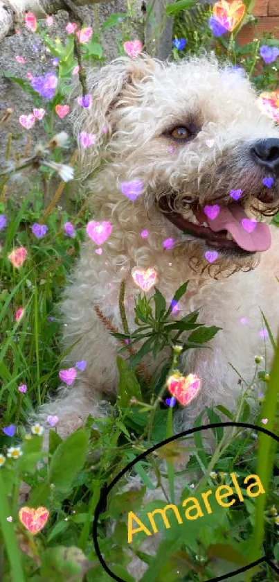 Adorable dog relaxing in lush green grass, enjoying nature.