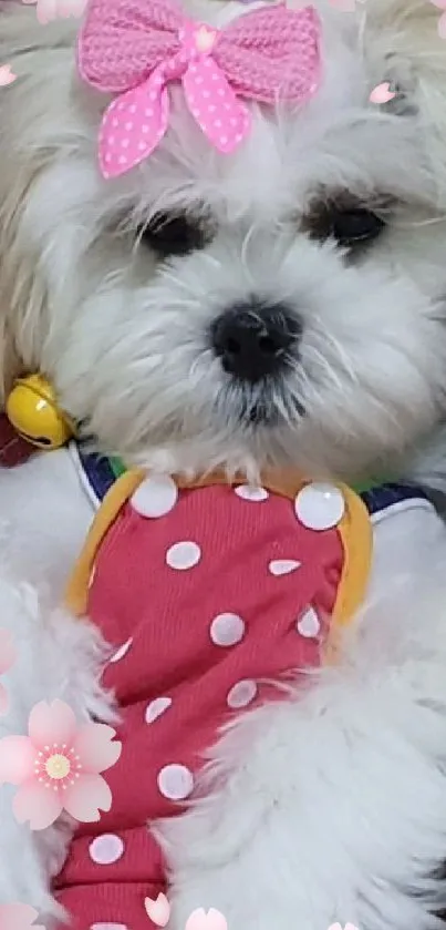 Fluffy dog with a pink bow and polka dot outfit, surrounded by cherry blossoms.