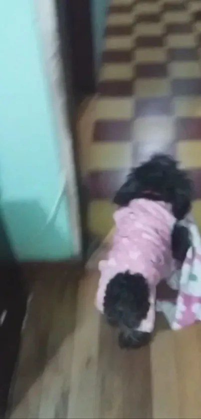 Black dog in pink sweater on checkered floor.