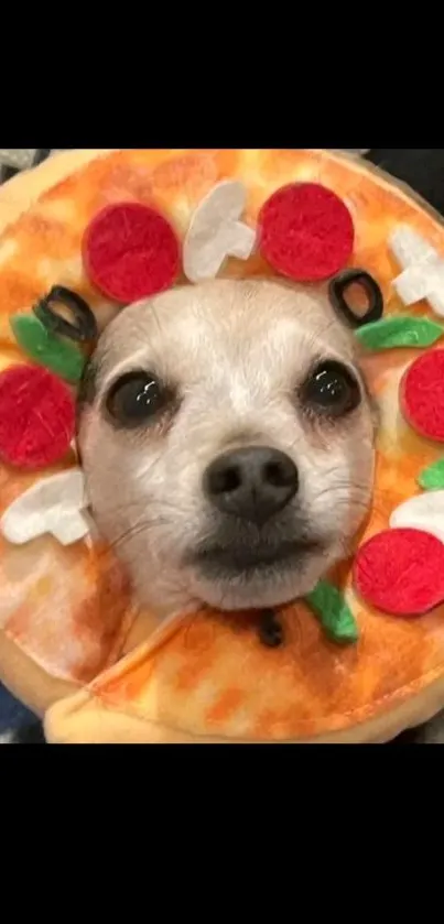 Dog wearing a pizza-themed costume in a cute and funny mobile wallpaper.