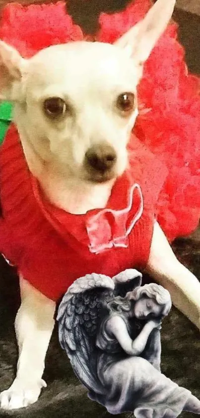 White dog in red dress with a stone angel statue and festive background.