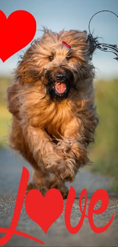 Cute dog running on a path with hearts.