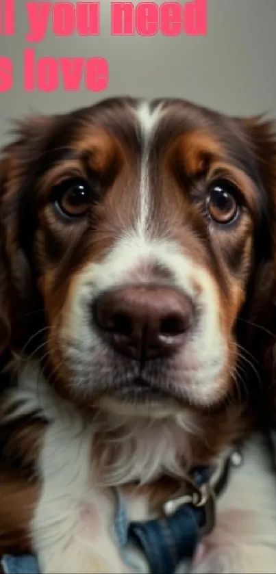 Cute dog with a love message on wallpaper.