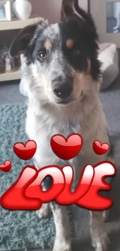 Adorable dog with heart-themed 'LOVE' text on a cozy backdrop.