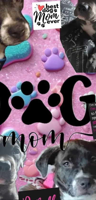 Cute dog mom wallpaper with paw prints.