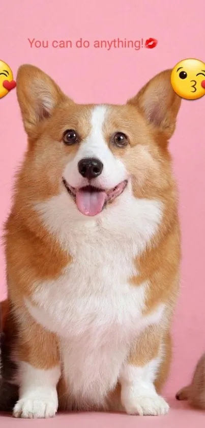 Cute corgi with motivational text on pink background.