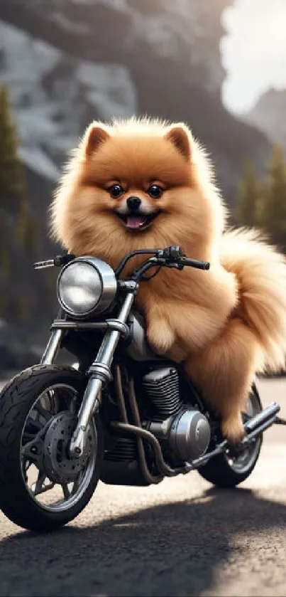 Fluffy Pomeranian sitting on a motorcycle in a scenic backdrop.
