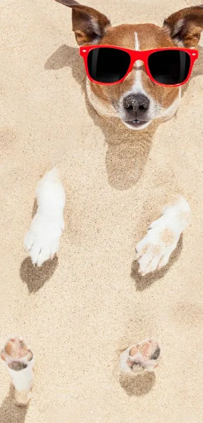 Dog wearing red sunglasses buried in sandy beach.