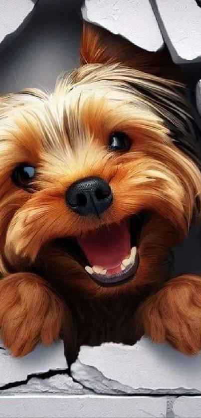 Adorable puppy peeking through broken wall showcasing bright eyes and fluffy fur.