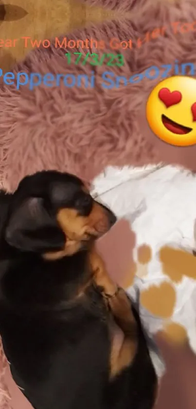 Cute black and tan puppy sleeping on a pink rug with emoji decoration.