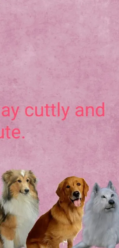 Three cute dogs with pink textured background.