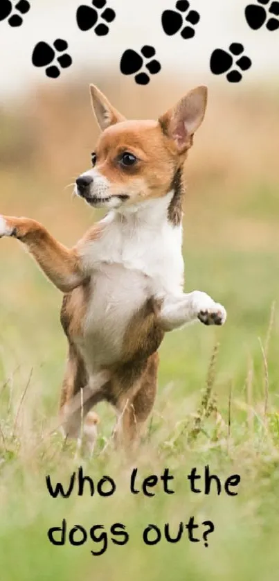 Cute dog standing in a field with a playful quote.