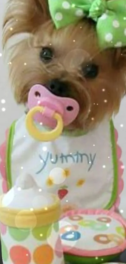 Cute dog with pacifier and bow tie, perfect for phone wallpaper