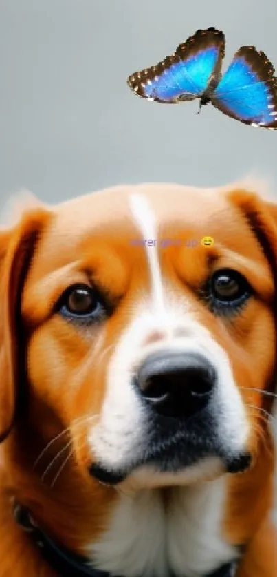 Adorable dog with a blue butterfly flying above on the road.