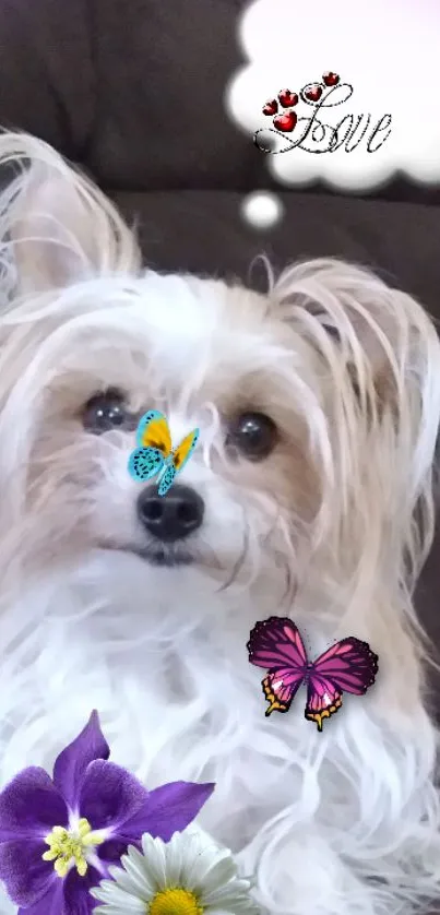 Cute dog on sofa with butterflies and flowers.