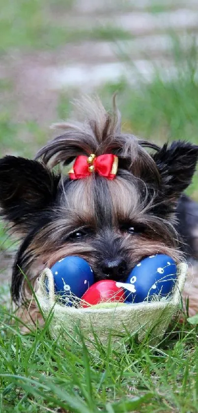 Cute dog with Easter eggs in green grass.