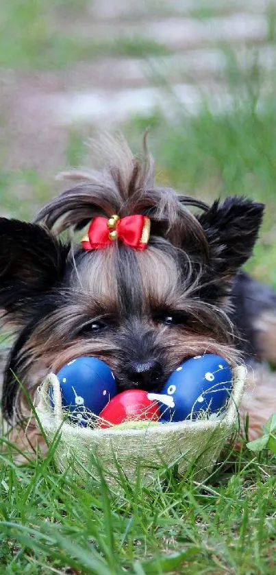 Cute dog with red bow and Easter eggs on grass.