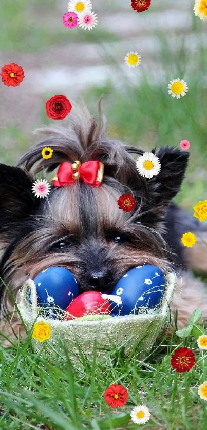 Yorkshire Terrier with Easter eggs on grass background.