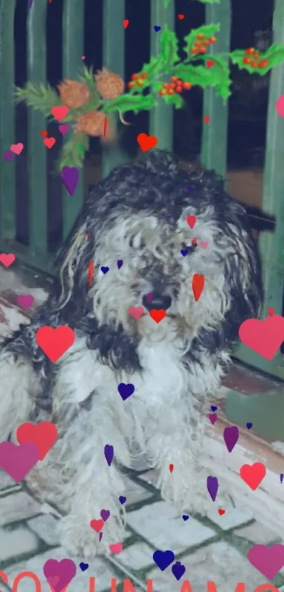 Cute dog with heart decorations on festive background.