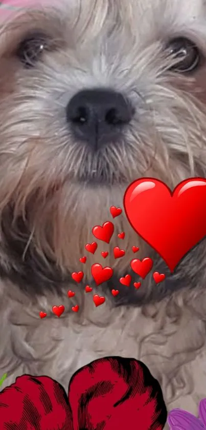 Fluffy dog with hearts and flowers mobile wallpaper.